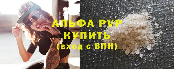 PSILOCYBIN Невель