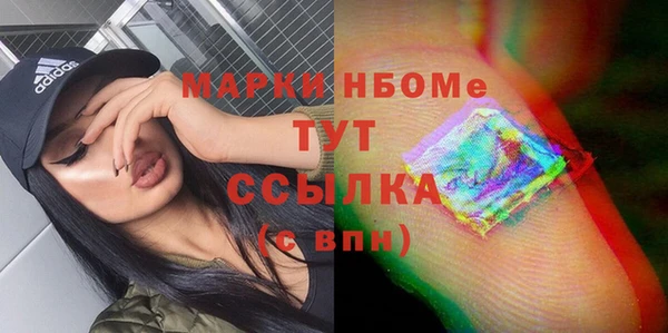 индика Невьянск