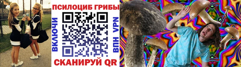 где продают   Ленинградская  Псилоцибиновые грибы Psilocybine cubensis 